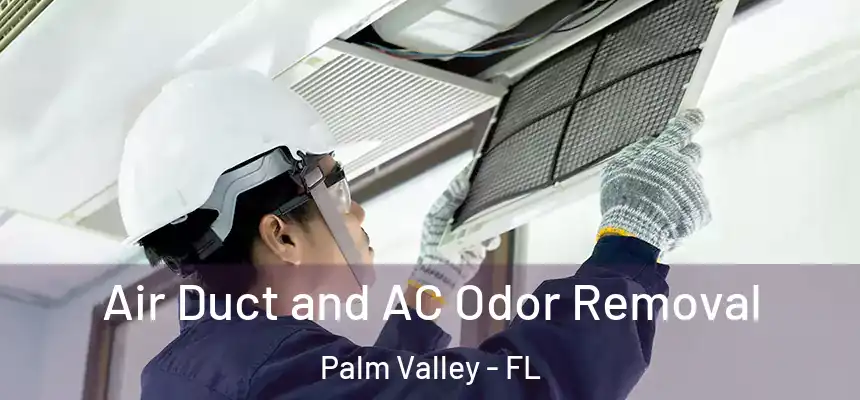 Air Duct and AC Odor Removal Palm Valley - FL