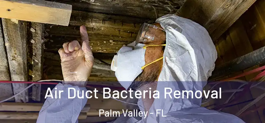  Air Duct Bacteria Removal Palm Valley - FL