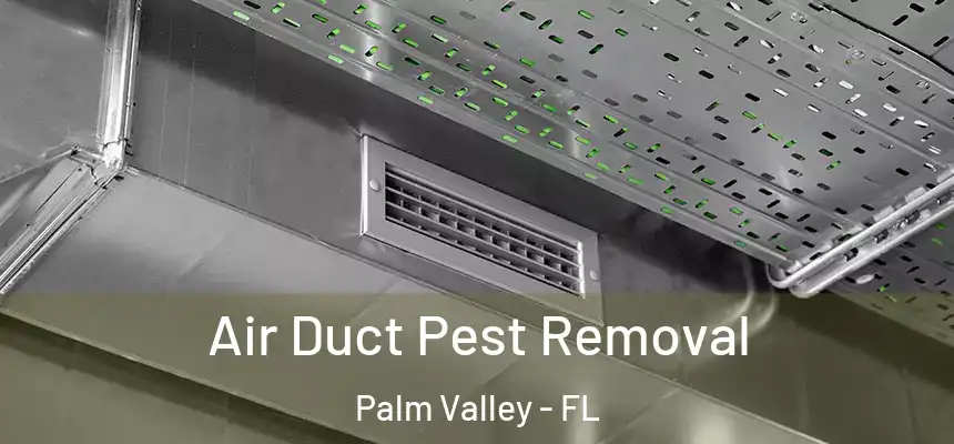  Air Duct Pest Removal Palm Valley - FL