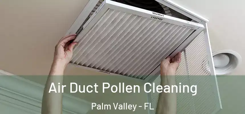  Air Duct Pollen Cleaning Palm Valley - FL