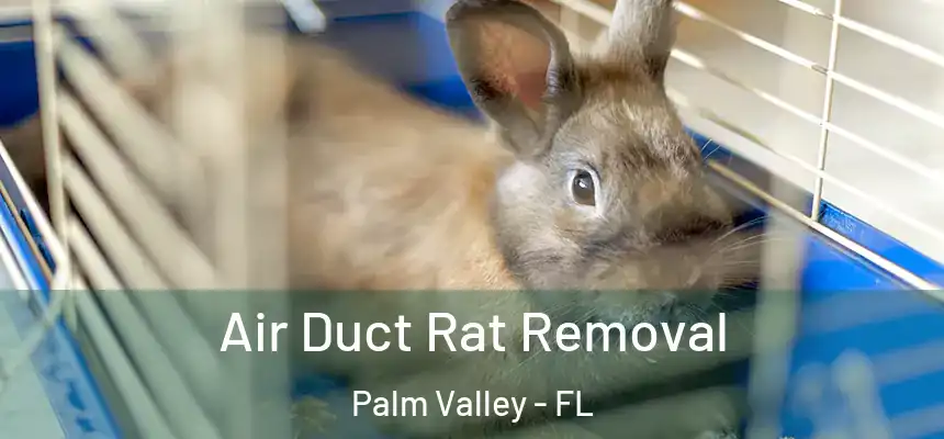  Air Duct Rat Removal Palm Valley - FL