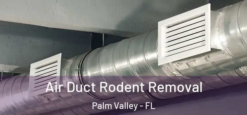 Air Duct Rodent Removal Palm Valley - FL
