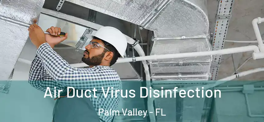 Air Duct Virus Disinfection Palm Valley - FL