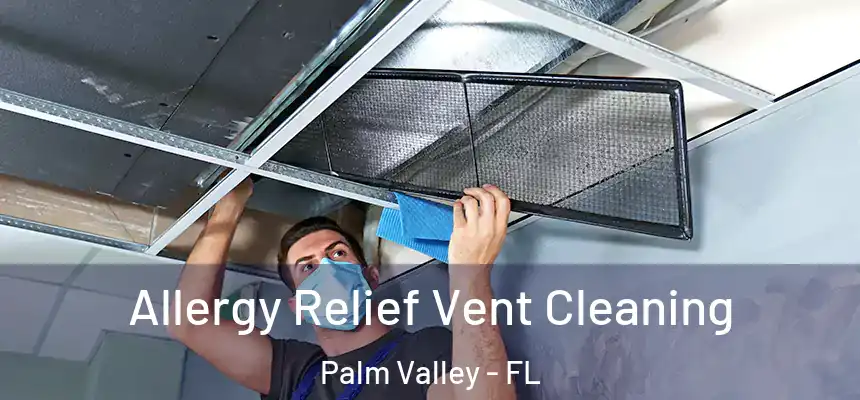 Allergy Relief Vent Cleaning Palm Valley - FL