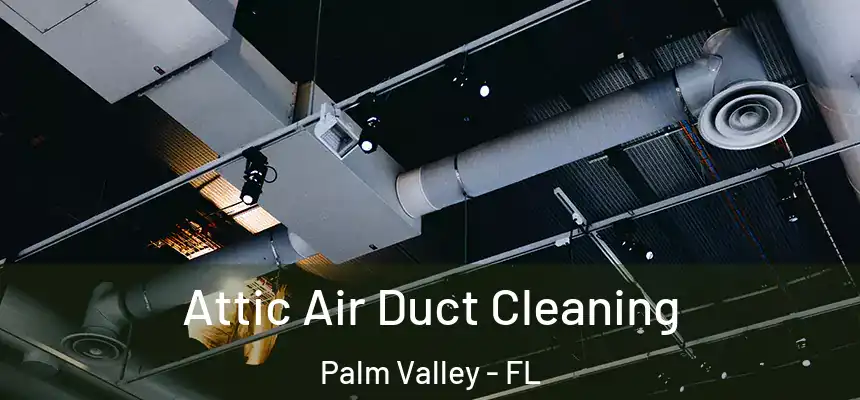 Attic Air Duct Cleaning Palm Valley - FL