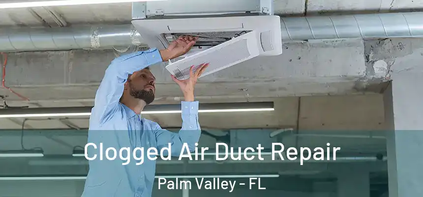 Clogged Air Duct Repair Palm Valley - FL