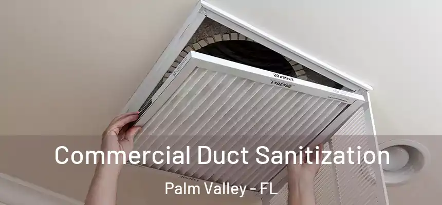 Commercial Duct Sanitization Palm Valley - FL