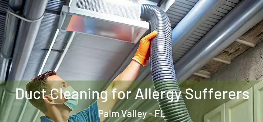 Duct Cleaning for Allergy Sufferers Palm Valley - FL
