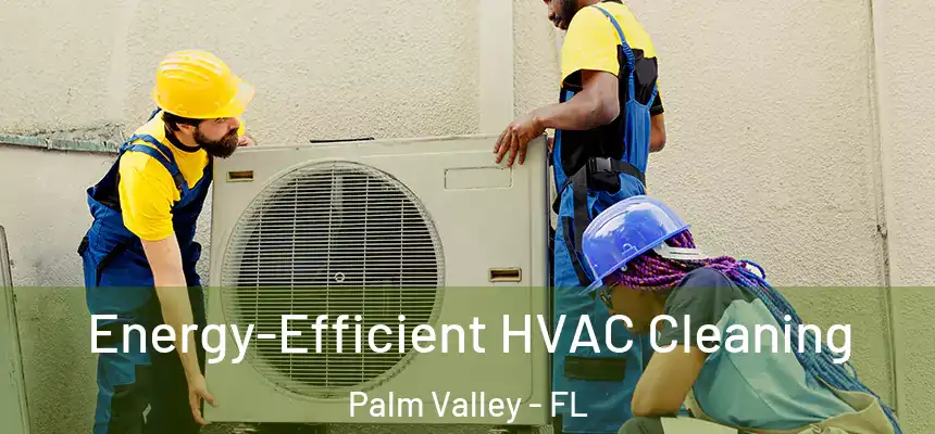 Energy-Efficient HVAC Cleaning Palm Valley - FL