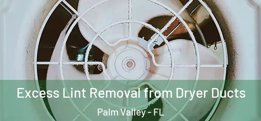 Excess Lint Removal from Dryer Ducts Palm Valley - FL