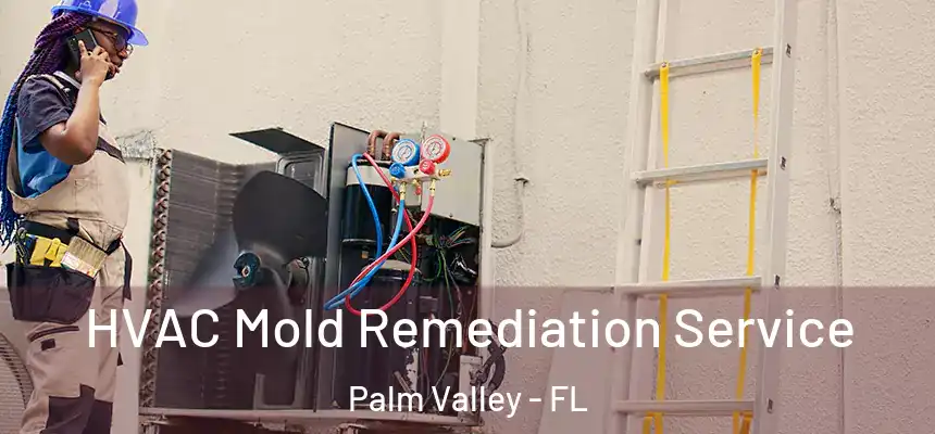 HVAC Mold Remediation Service Palm Valley - FL
