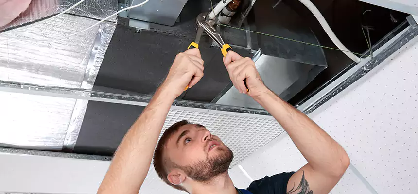 Targeted HVAC Coil & Plenum Commercial Duct Sanitization in Palm Valley