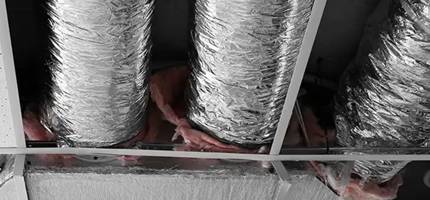 Scalable Commercial Multi‑Unit Dryer Vent Camera Inspection in Palm Valley, FL