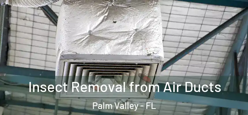  Insect Removal from Air Ducts Palm Valley - FL
