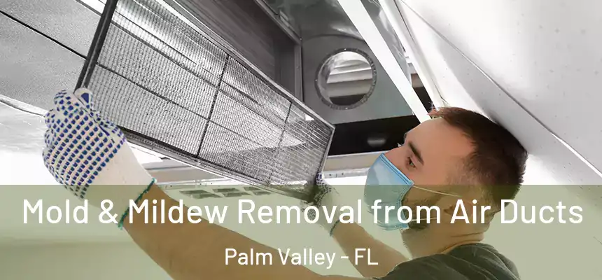 Mold & Mildew Removal from Air Ducts Palm Valley - FL
