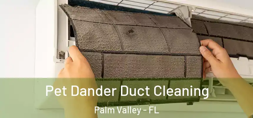 Pet Dander Duct Cleaning Palm Valley - FL