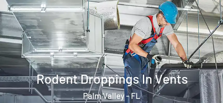  Rodent Droppings In Vents Palm Valley - FL