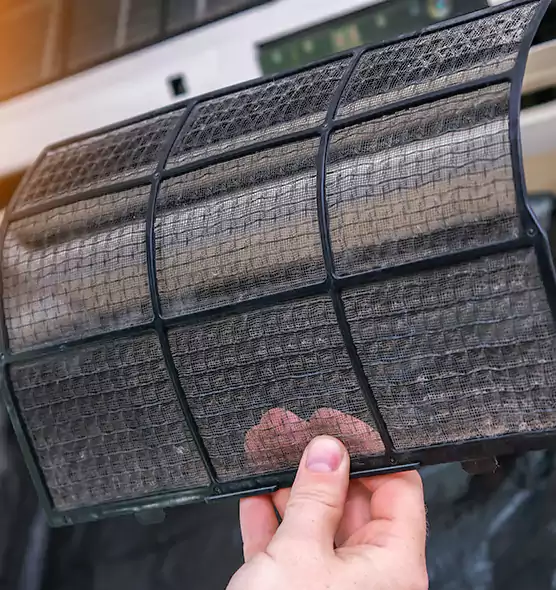 About Pet Dander Duct Cleaning in Palm Valley, FL